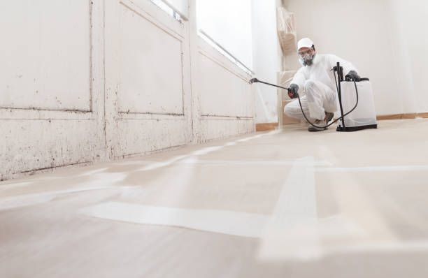 24/7 Emergency Commercial Mold Remediation experts in Seattle, WA